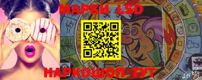 дмт Ставрополь