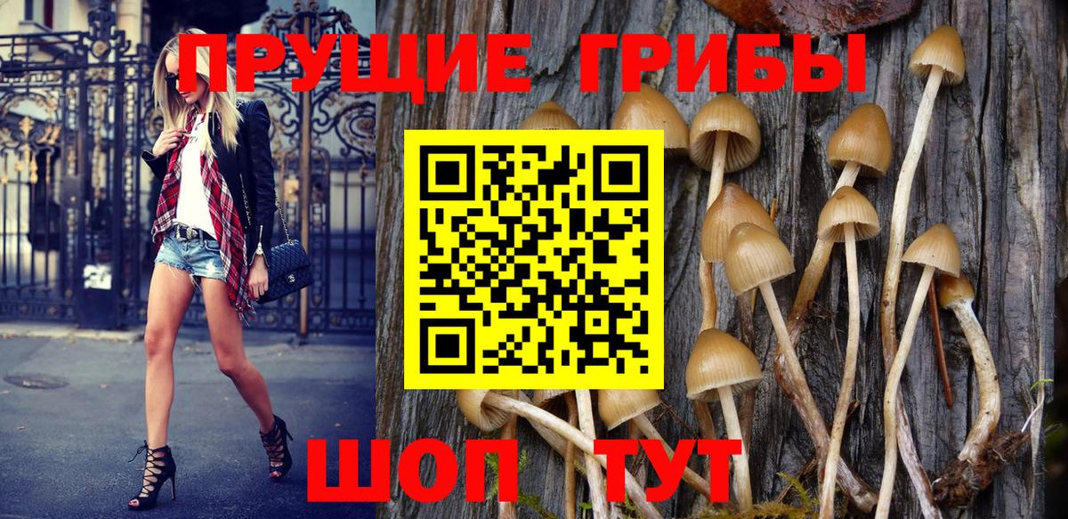 Псилоцибиновые грибы Magic Shrooms Павлово